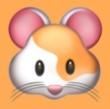 ✯花苞直播官方版图片