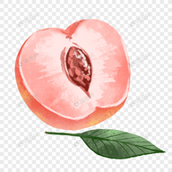 葫芦影业下载官方版APP应用