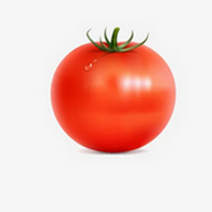 WWW,av444·COM网站APPAPP应用